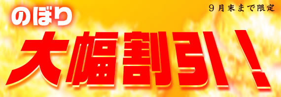 �ʰ¤Τܤ�Υ����롡Ⱦ�ۤ⤢���