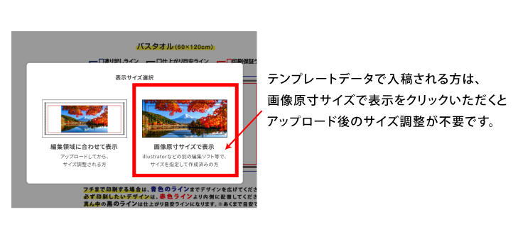 データをアップロードすると、表示サイズを選択できます