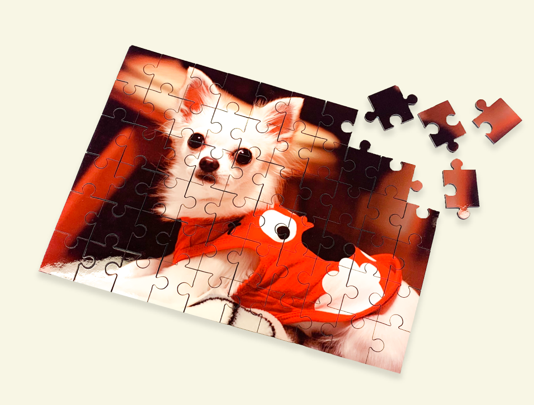 ペット（犬・猫）のかわいい写真でオリジナルパズル印刷