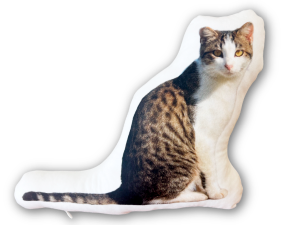 �ڥåȥ��å���󤬤Ǥ���ޤǡ��ޤ��Ϥ���ʸ��������