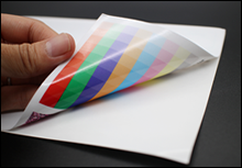 ΢Žϰ̤˸ҤդüǺǤ